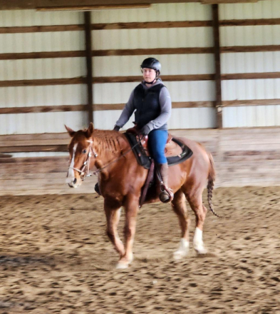 HorseID: 2316935 Vaquero Kimberfrost - PhotoID: 1103543