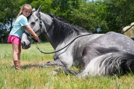 HorseID: 2316941 There's a Tear in my Beer - PhotoID: 1103537