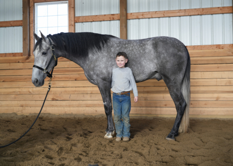 HorseID: 2316941 There's a Tear in my Beer - PhotoID: 1103538