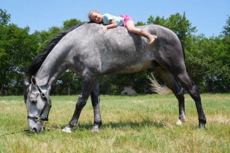 HorseID: 2316941 There's a Tear in my Beer - PhotoID: 1103541
