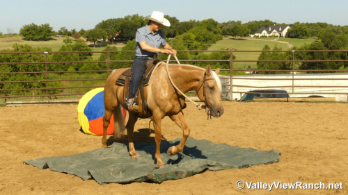 HorseID: 2316946 Doctivis Goldseeker - PhotoID: 1103551
