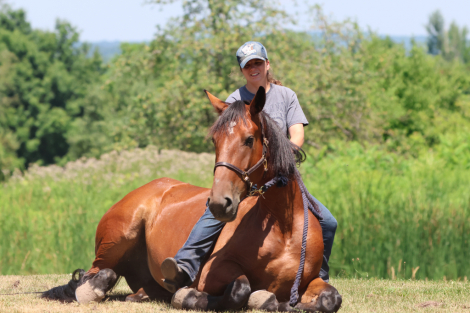HorseID: 2316949 Tulsa Vale - PhotoID: 1103559