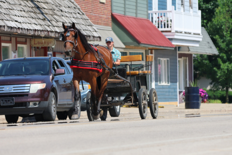 HorseID: 2316949 Tulsa Vale - PhotoID: 1103560