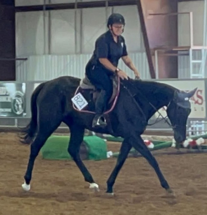 HorseID: 2316988 Black Zabat - PhotoID: 1103683