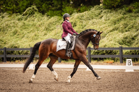 HorseID: 2317014 Gunfire - PhotoID: 1103677