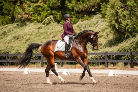 HorseID: 2317014 Gunfire - PhotoID: 1103678