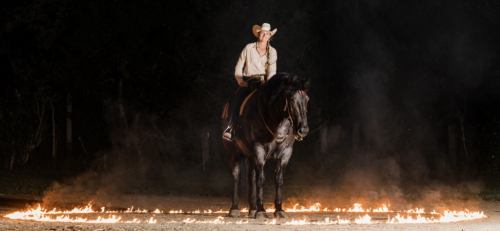 HorseID: 2317025 Asher - PhotoID: 1103710