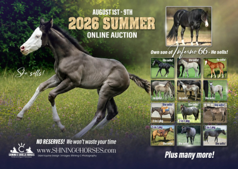 HorseID: 2317033 METALLIC CAT X REINING IN DIAMONDS - PhotoID: 1103725