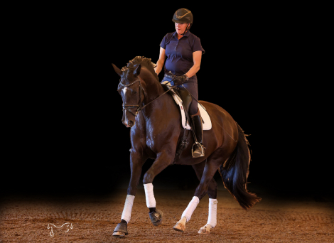 HorseID: 2317042 For Freedom - PhotoID: 1103729