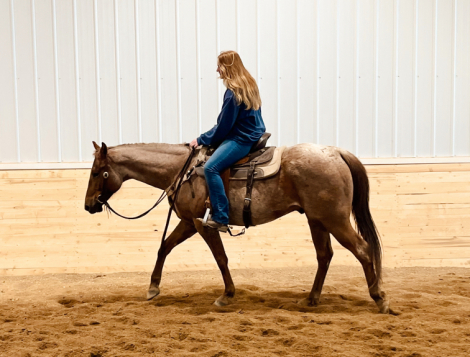 HorseID: 2317044 EZ FIREWATER - PhotoID: 1103733