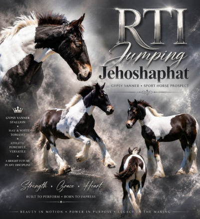 HorseID: 2317047 Rti jumping jehoshaphat - PhotoID: 1103735