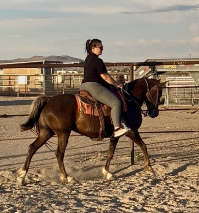 HorseID: 2317052 Barbie’s Koko Puff - PhotoID: 1103746