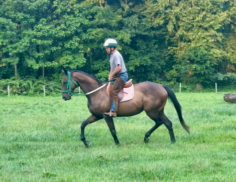 HorseID: 2317072 False Ruling - PhotoID: 1103780