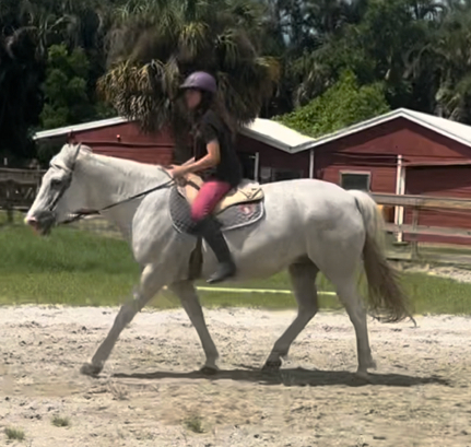 HorseID: 2317110 Coconut - PhotoID: 1103807
