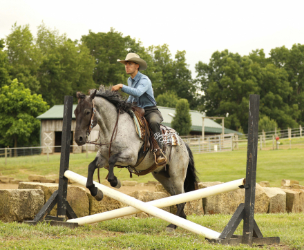 HorseID: 2317127 Seattle - PhotoID: 1103837