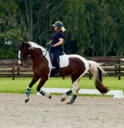 HorseID: 2317132 Nanook - PhotoID: 1103846