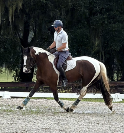 HorseID: 2317132 Nanook - PhotoID: 1103847