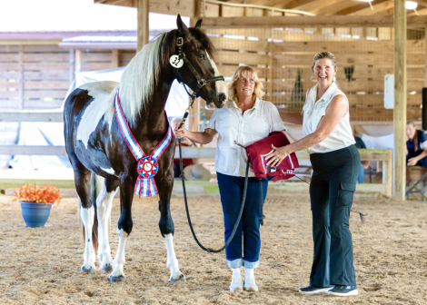 HorseID: 2317132 Nanook - PhotoID: 1103849