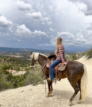 HorseID: 2317181 Mama Needs Chocolate - PhotoID: 1103911
