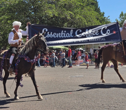 HorseID: 2317181 Mama Needs Chocolate - PhotoID: 1103913