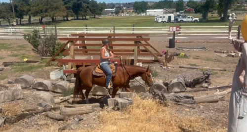 HorseID: 2317200 Spatz Pepper Money - PhotoID: 1103931