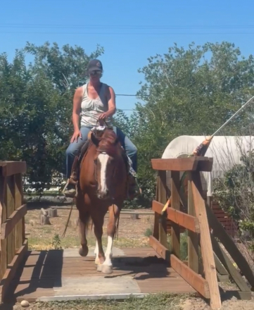 HorseID: 2317200 Spatz Pepper Money - PhotoID: 1103932