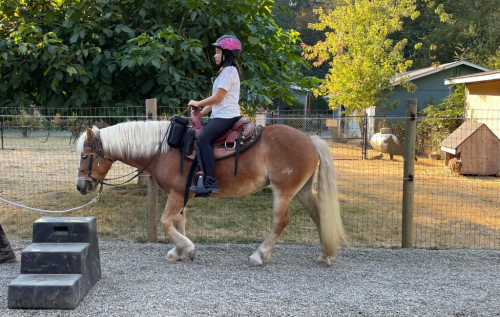 HorseID: 2317230 Primrose Dolly - PhotoID: 1103945