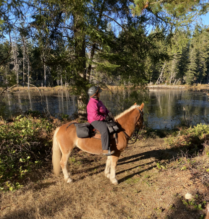 HorseID: 2317230 Primrose Dolly - PhotoID: 1103946