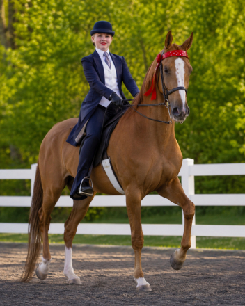 HorseID: 2317231 No reservations required - PhotoID: 1103949