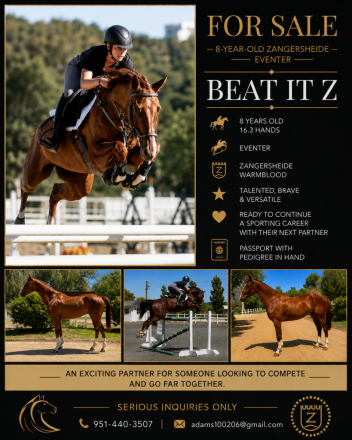 HorseID: 2317255 Beat It Z - PhotoID: 1103988