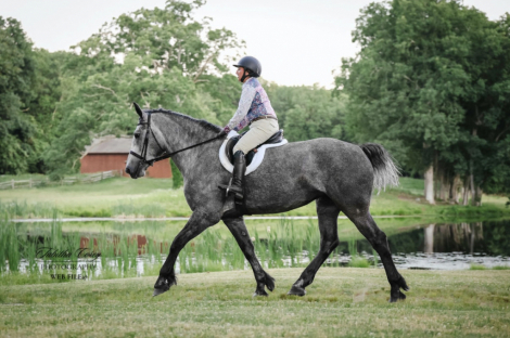 HorseID: 2317322 Belle Ryan Edie - PhotoID: 1104064