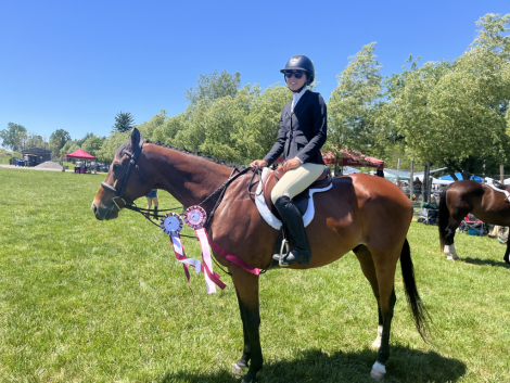 HorseID: 2317335 Tomasco - PhotoID: 1104088