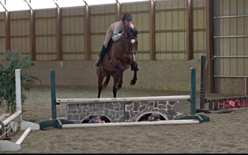 HorseID: 2317335 Tomasco - PhotoID: 1104090