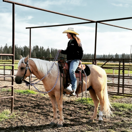 HorseID: 2317346 CS Bar Of Gold - PhotoID: 1104094