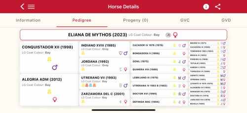 HorseID: 2317371 Eliana de Mythos - PhotoID: 1104119