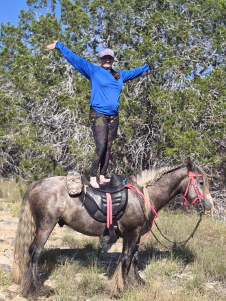 HorseID: 2317373 MMA OLD OAKS HOLLYWOOD HEARTTHROB - PhotoID: 1104123