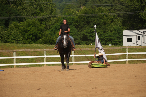 HorseID: 2317405 Dallas - PhotoID: 1104164