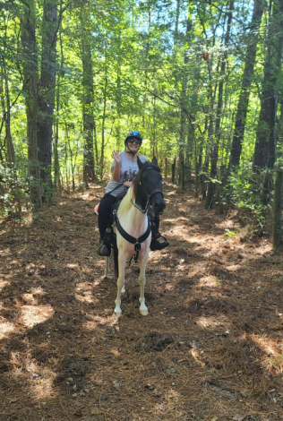 HorseID: 2317428 Koda - PhotoID: 1104260