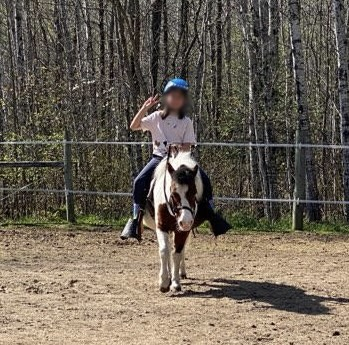 HorseID: 2317455 Dixie - PhotoID: 1104219
