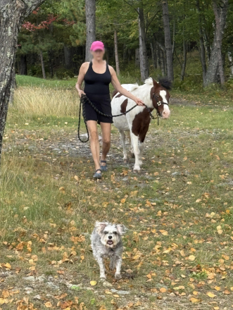 HorseID: 2317455 Dixie - PhotoID: 1104221