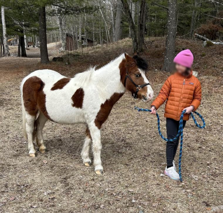HorseID: 2317455 Dixie - PhotoID: 1104223