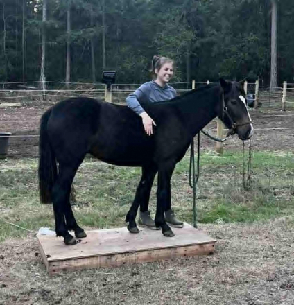 HorseID: 2317473 TBF Midleton Whiskey - PhotoID: 1104250