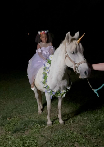HorseID: 2317475 Lily Augustine Rose - PhotoID: 1104252