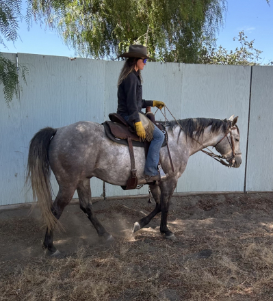 HorseID: 2317477 Strait Royal Badge - PhotoID: 1104262