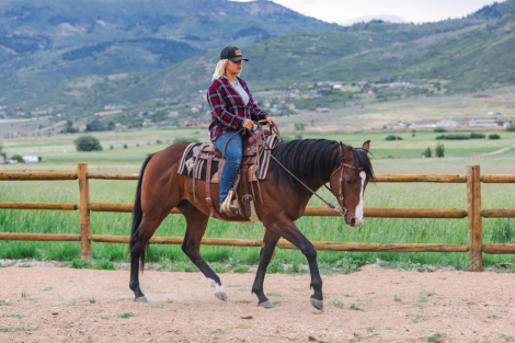 HorseID: 2317488 Ts Famous Dancer - PhotoID: 1104269