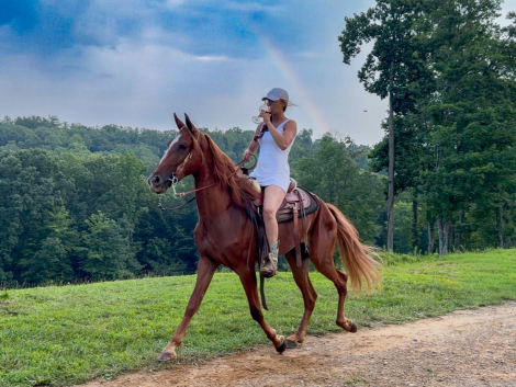 HorseID: 2317493 Minor Obsession - PhotoID: 1104276