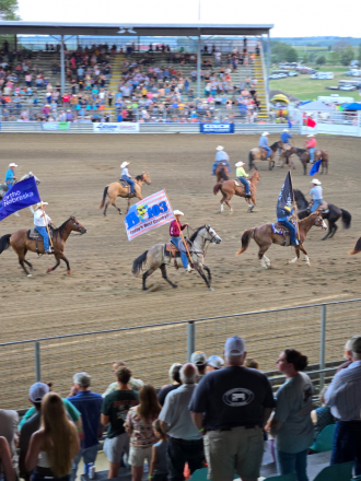 HorseID: 2317495 Carver Savannah - PhotoID: 1104341