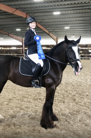 HorseID: 2317514 Prada Twilight - PhotoID: 1104304
