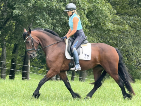 HorseID: 2317529 Raspberry - PhotoID: 1104328