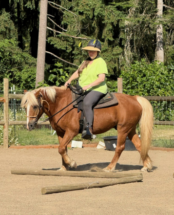 HorseID: 2317539 Beau - PhotoID: 1104338
